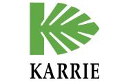 KARRIE INTERNATIONAL HOLDINGS LIMITED
